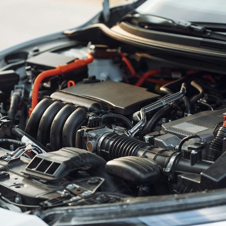 Motor