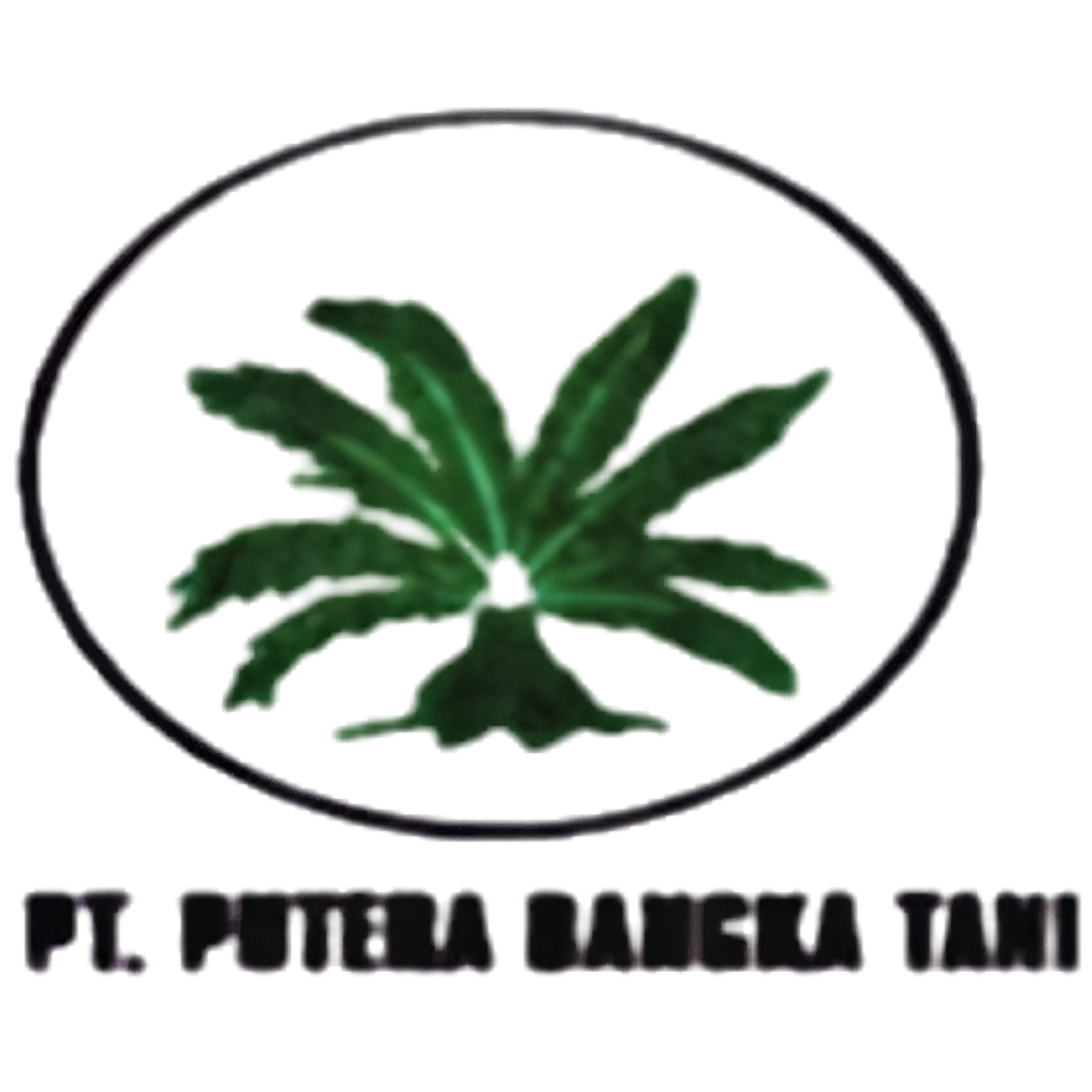 Partner PANI